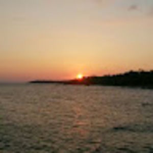 Meet your Posher, Lily